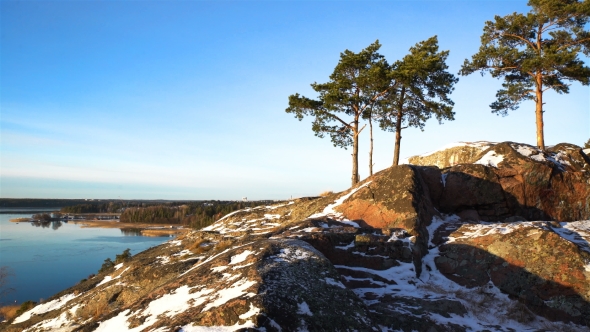 Scandinavian Landscape. Several Lonely Pines on Rock Over the Baltic Sea. Dolly. alt