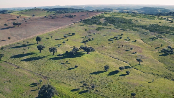 Aerial View Green Rural Landscape