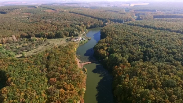 Lake and Forest