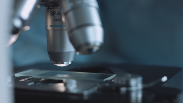 View of Glass Under Microscope alt