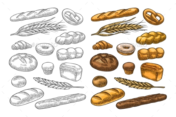 Set Bread. Vector Color Vintage Engraving - Food Objects
