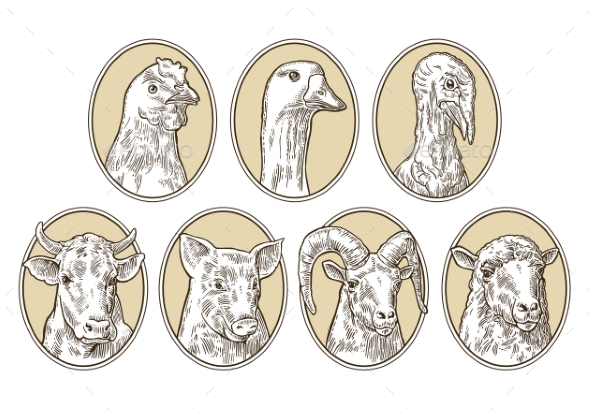 Farm Animals Set - Animals Characters