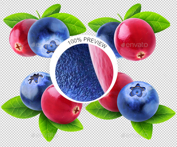 Collection of Isolated Blueberries and Cranberries - Food & Drink Isolated Objects