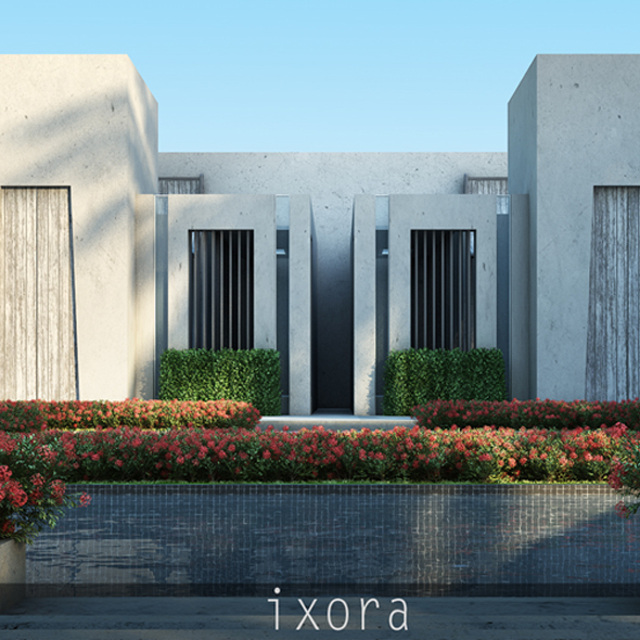 Ixora - 3Docean 19516113