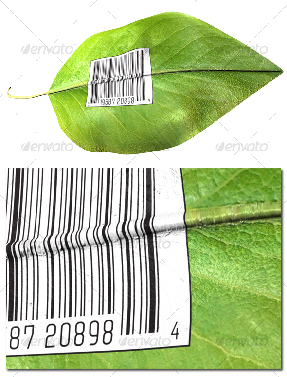 Barcode on leaf - Objects 3D Renders