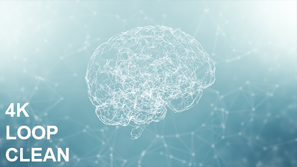 Clean Plexus Brain 4K #2
