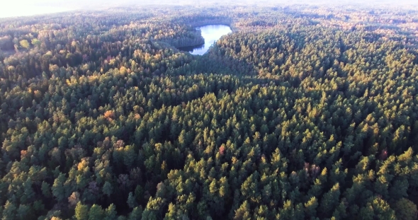 Flying Above Autumn Forest and Lake