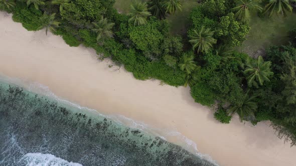 Drone view of waves meeting beach and forest Praslin Seychelles