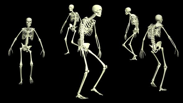 Skeletons 3D Animation alt