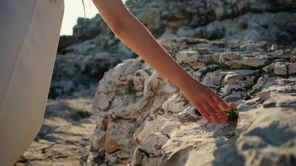 Woman is Touching Rock By Hand Walking in Summer on Nature alt