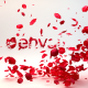 Petals Logo Reveal - VideoHive Item for Sale