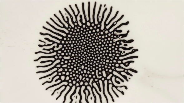 Fantastic Patterns and Shapes. Ferrofluid and Paint. .
