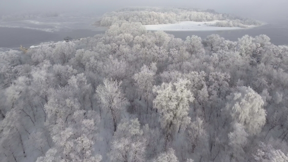Forest in Snow, Top View, alt