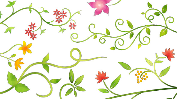 6 Floral Ornamental Animations - Water Color Style