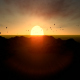 Sunset Mountain and silhouette Birds - VideoHive Item for Sale