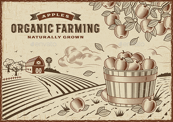 Apple Organic Farming Landscape - Landscapes Nature