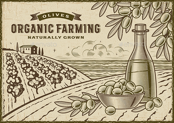 Olive Organic Farming Landscape - Landscapes Nature