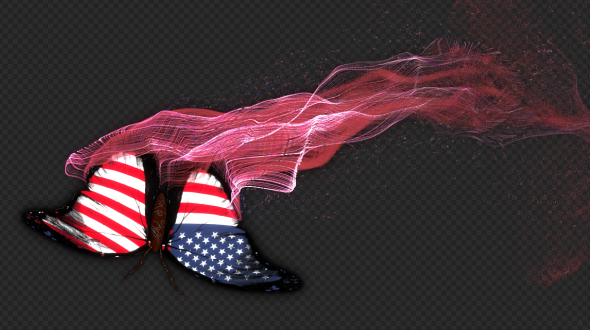 United States of America Flag Butterfly Gorgeous Particle Light Trailing Flying V1