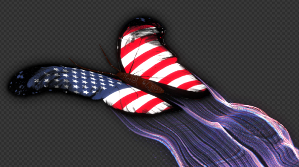 United States of America Flag Butterfly Gorgeous Particle Light Trailing Flying V4