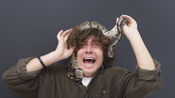 a Man is Afraid of a Snake That Crawls on His Head a Confused Young Man is in a Panic From Fear He