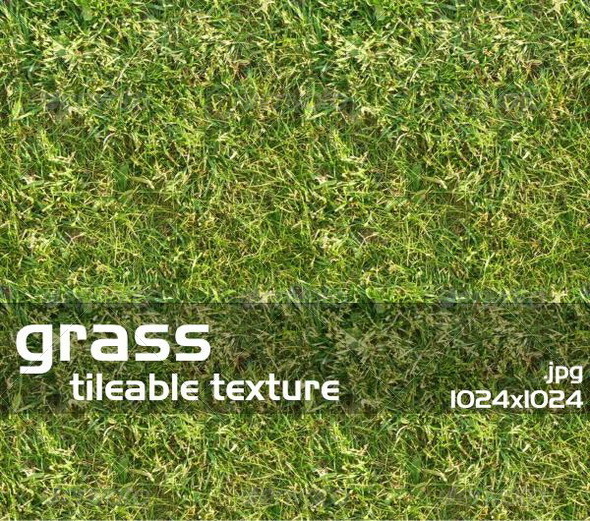 Grass Texture 1 - 3Docean 1920003