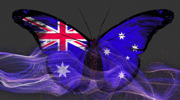 Australia Flag Butterfly Gorgeous Particle Light Trailing Flying V1