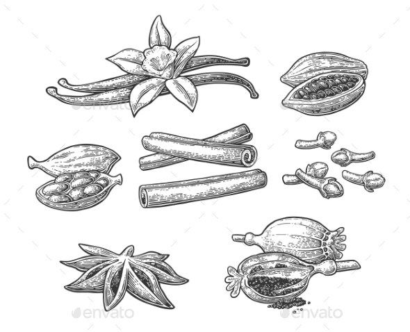 Set of Spices - Food Objects
