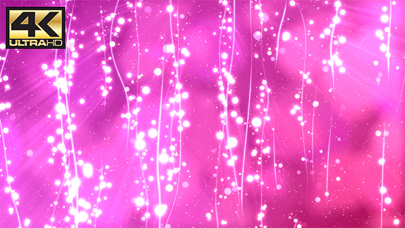 Pink  Abstract Lines&Particles BG 4K