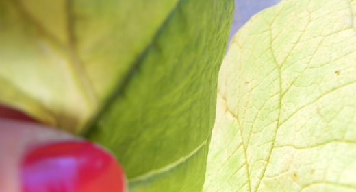 Positive Acoustic Tunes