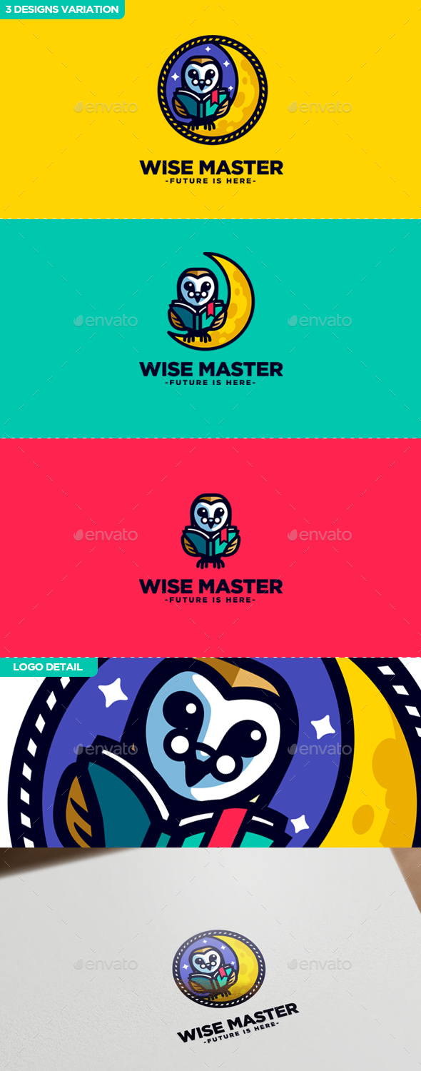 Wise Master - Owl Character Mascot Logo