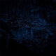 Rain Hitting Pool In The Forest At Night - VideoHive Item for Sale