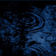Raindrops On Forest Pool In The Dark - VideoHive Item for Sale