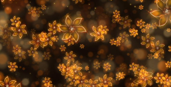 Flowers Bokeh Background.