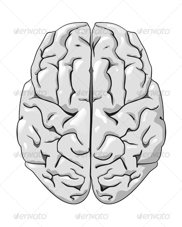 Human brain - Health/Medicine Conceptual