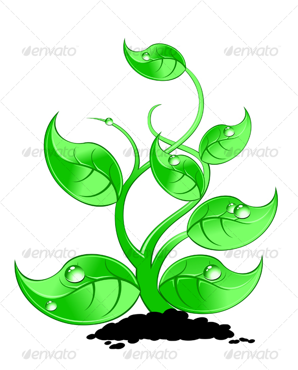 Green plant with drops - Nature Conceptual
