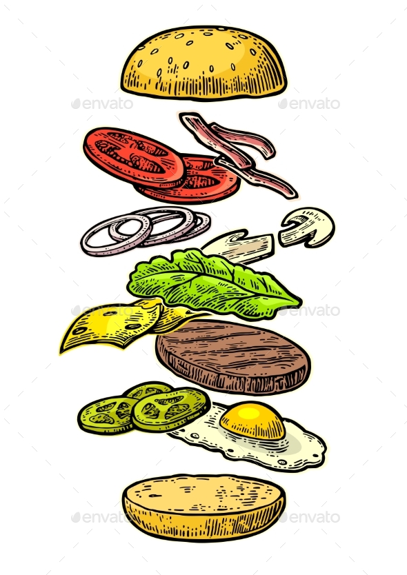 Burger Ingredients on White Background - Food Objects