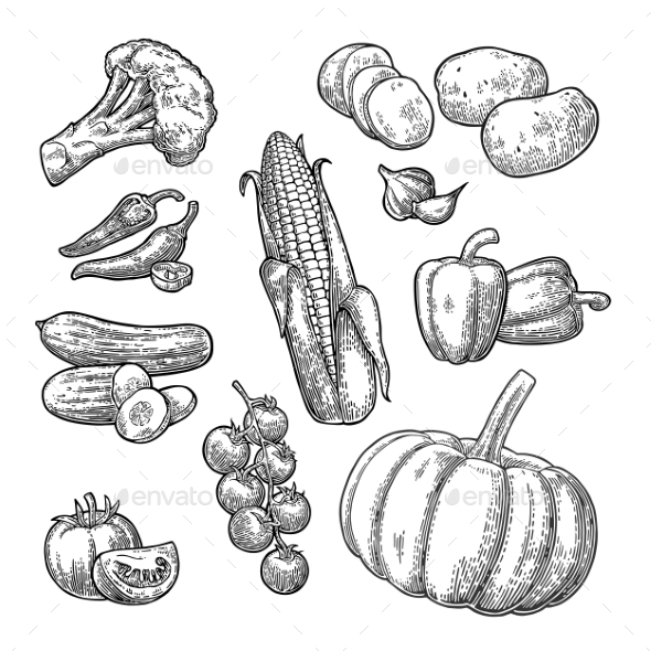 Set of Vegetables - Food Objects