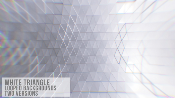 White Triangle Background Loop