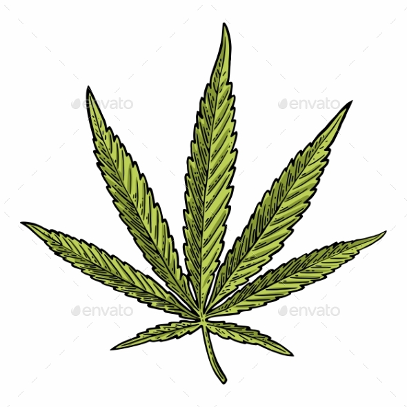 Marijuana Leaf - Flowers & Plants Nature