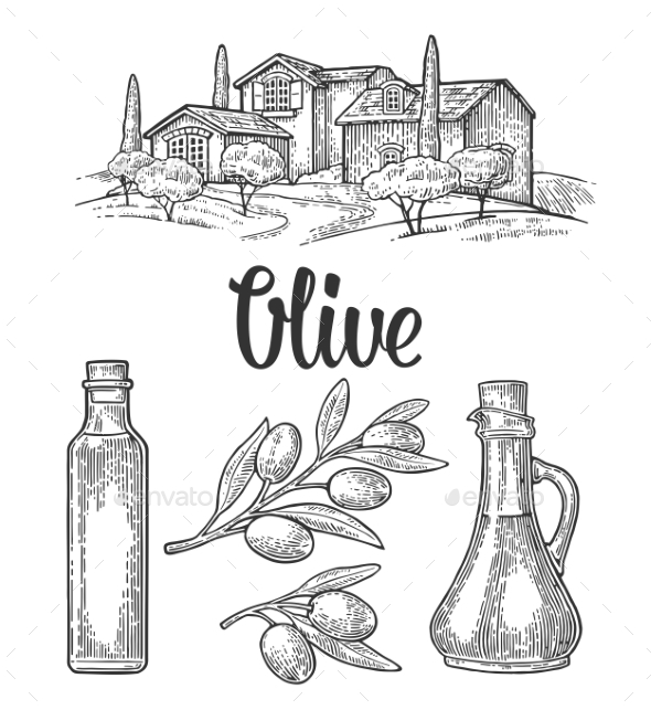 Olive Set - Food Objects