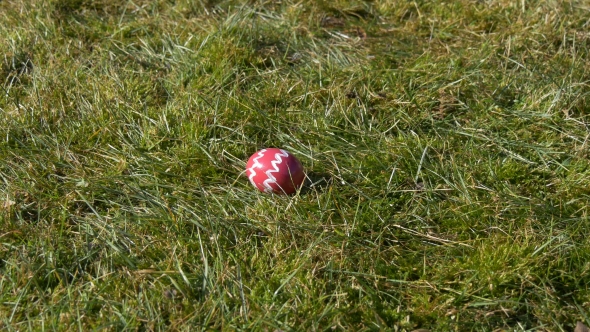 Pink Egg on Green Grass