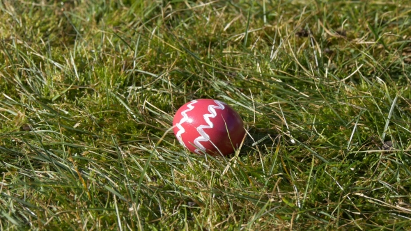 Decorated Pink Egg on Grass