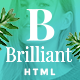 Brilliant - Morden Ecommerce HTML5 Template - ThemeForest Item for Sale