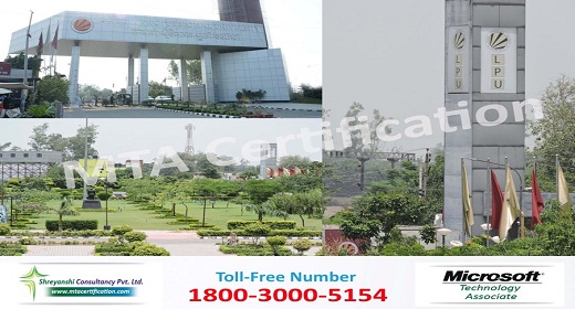 Summer Training Noida