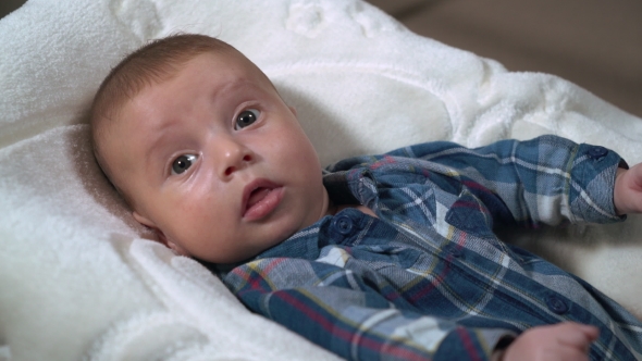 Little Baby Child. alt