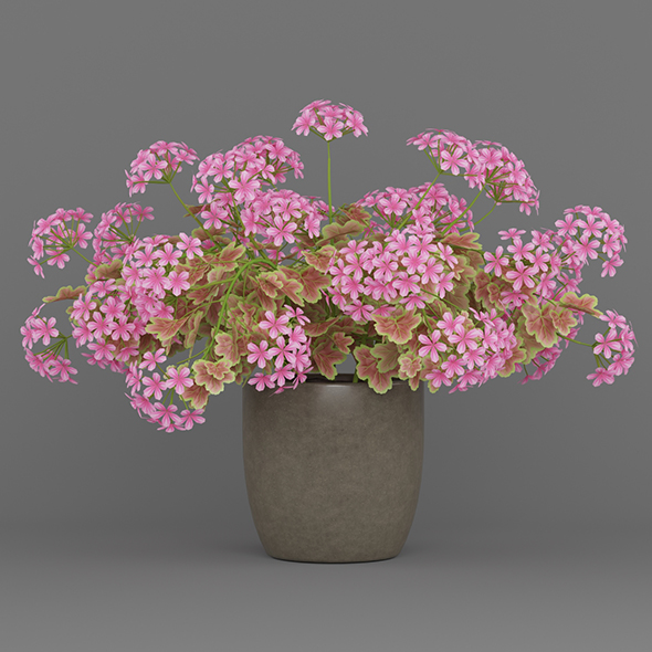 Potted Flower Plant - 3Docean 19612140