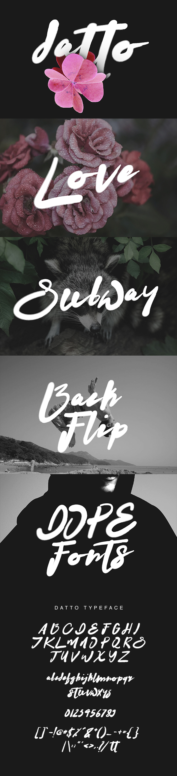 Datto Typeface - Famous Decorative