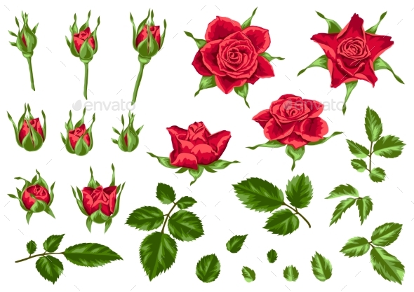 Set of Decorative Red Roses - Flowers & Plants Nature