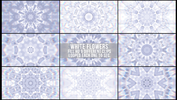 White Flowers Background Loop
