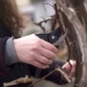 Gardener Cutting the Vine in the Spring - VideoHive Item for Sale